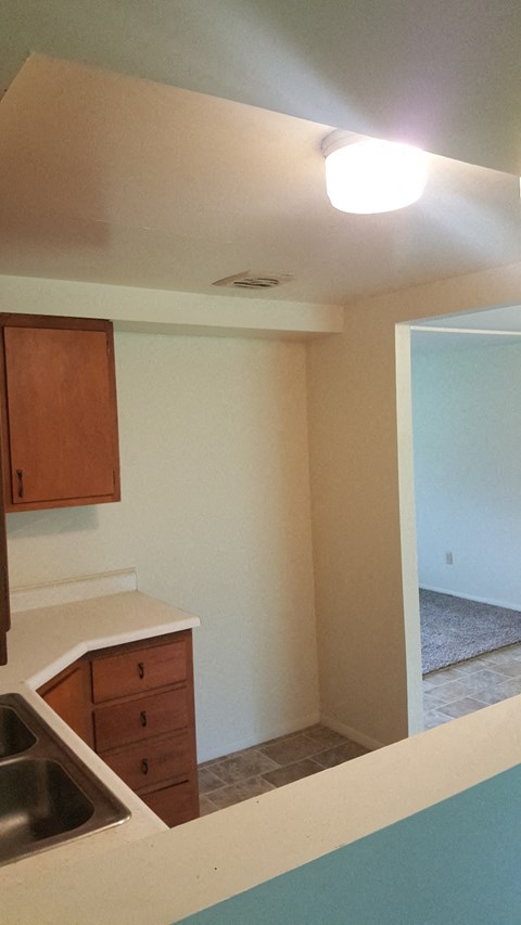 A kitchen with a sink and cabinets.