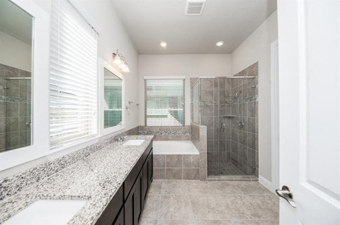 a bathroom with a shower and a sink