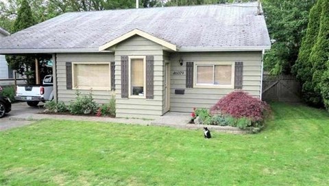 a cat standing in the grass in front of a house