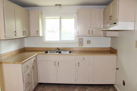 A kitchen with a sink and cabinets.