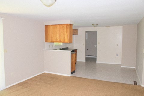 A room with a kitchenette and a door.