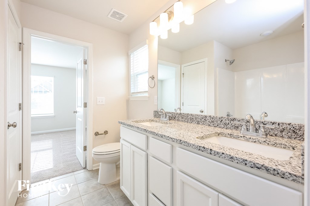 a bathroom with a sink and a toilet
