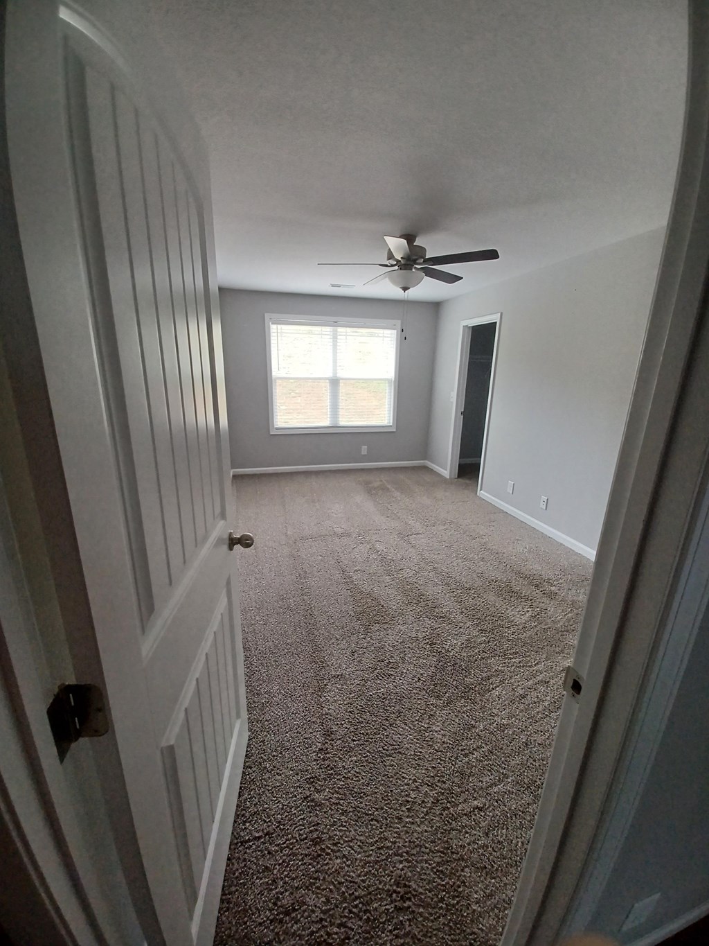 A room with a carpeted floor and a ceiling fan.