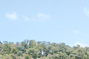 Site sign - Photo Gallery 5