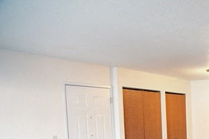 Bridgeview Greene Living Area