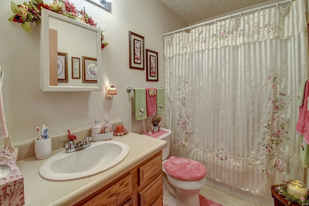 a bathroom with a sink and a toilet and a shower