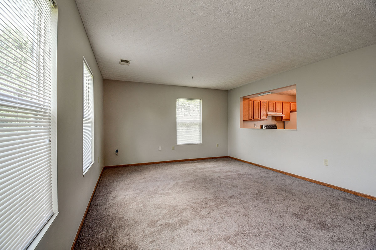 a living room with carpet and a large window
