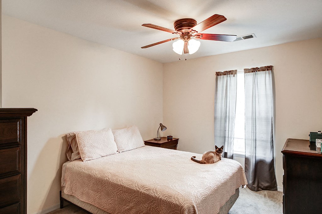 a cat sitting on a bed in a room with a ceiling fan