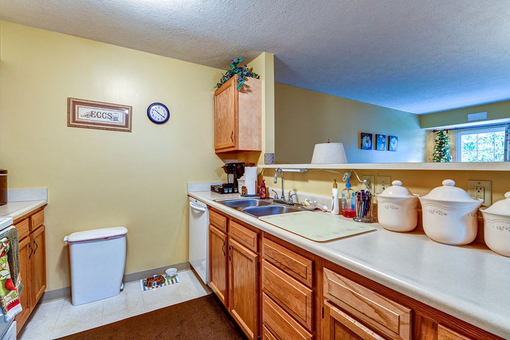 a kitchen with a sink and a toilet