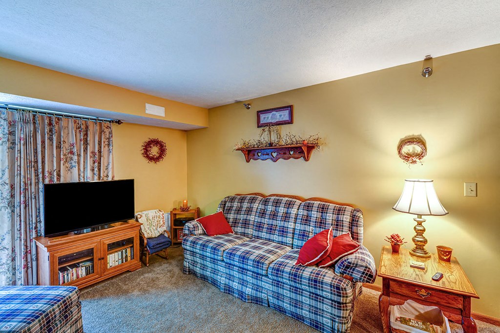 a living room with a couch and a tv