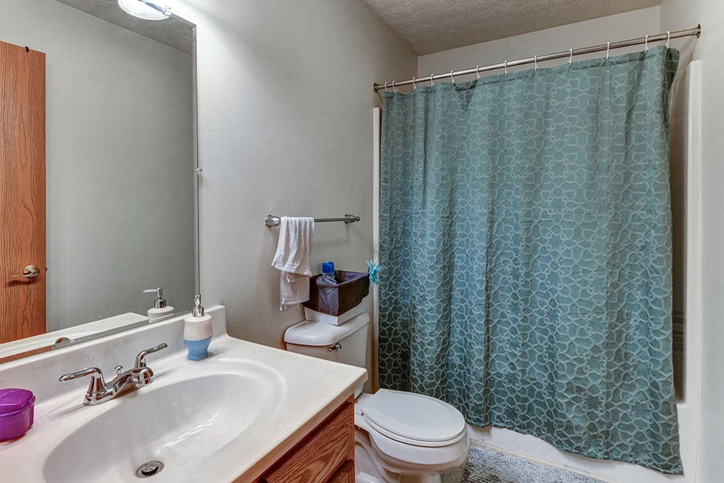 a bathroom with a shower and a sink and a toilet