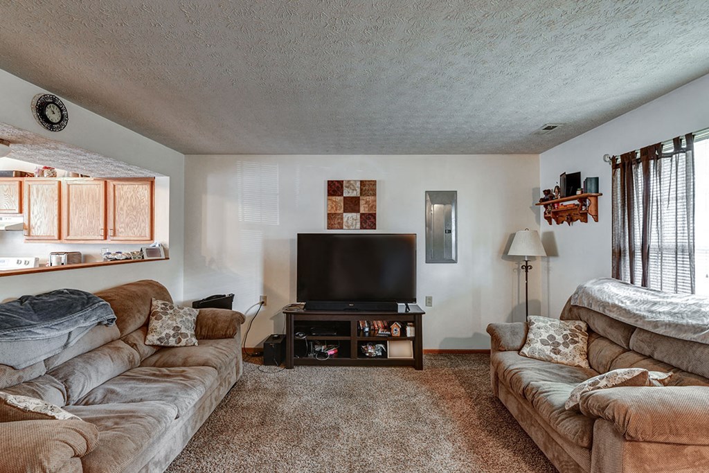 a living room with two couches and a television