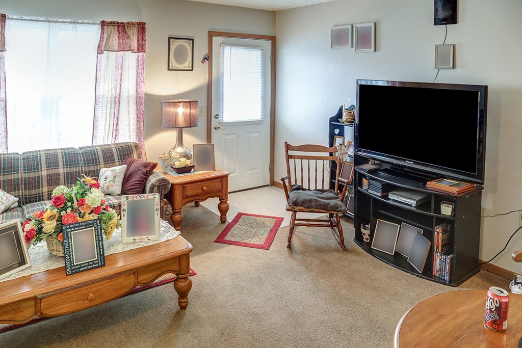 a living room with a couch and a television