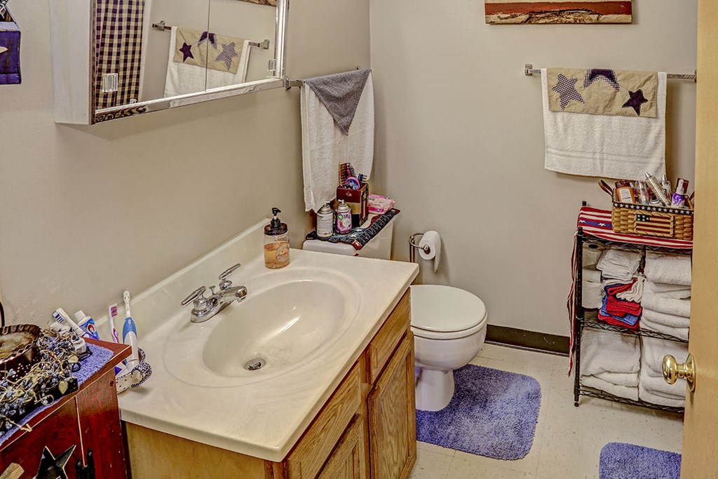 a bathroom with a sink and a toilet