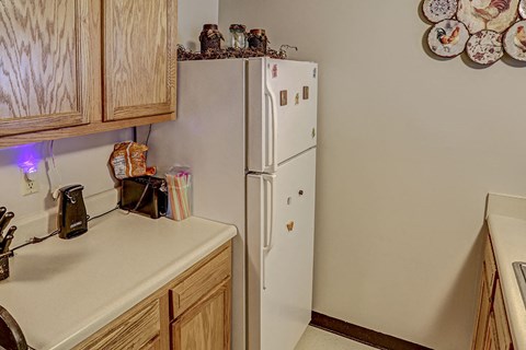 a kitchen with a refrigerator and a counter top