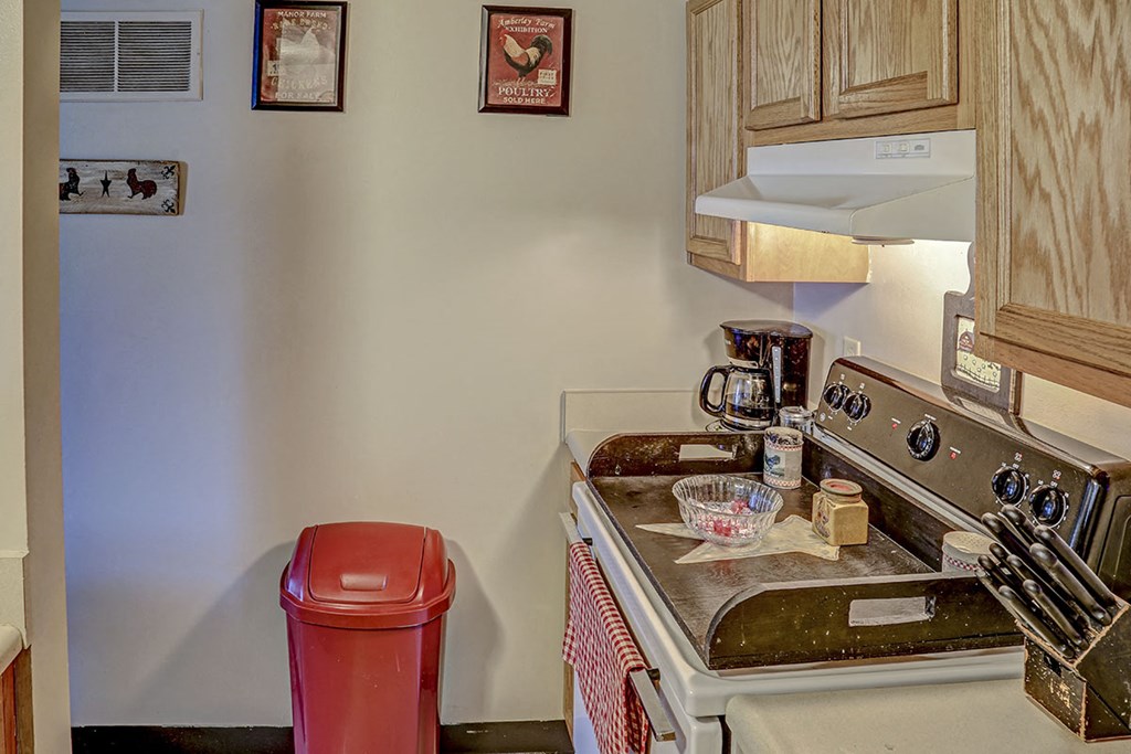 a kitchen with a stove and a trash can