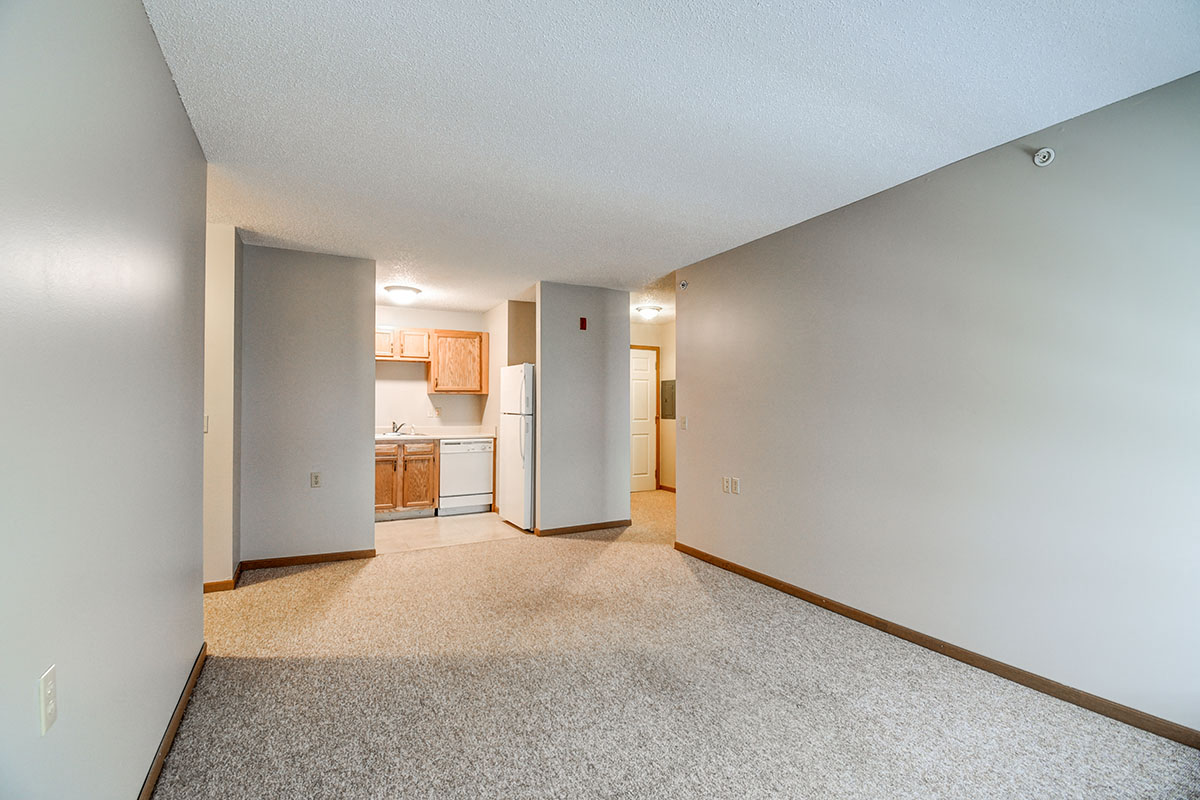 Living Area and Kitchen