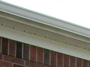 Jacobs Crossing Front Jacobs Crossing Front - Photo Gallery 4
