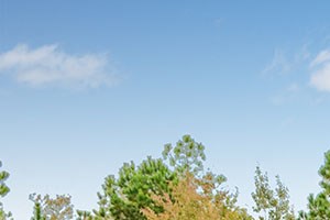 House For Rent House For Rent Near Me For Cheap House For Rent House For Rent Near Me For Cheap
