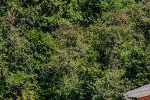 Junction City Apartments 301 West Walnut St Junction City Oh Rentcafe