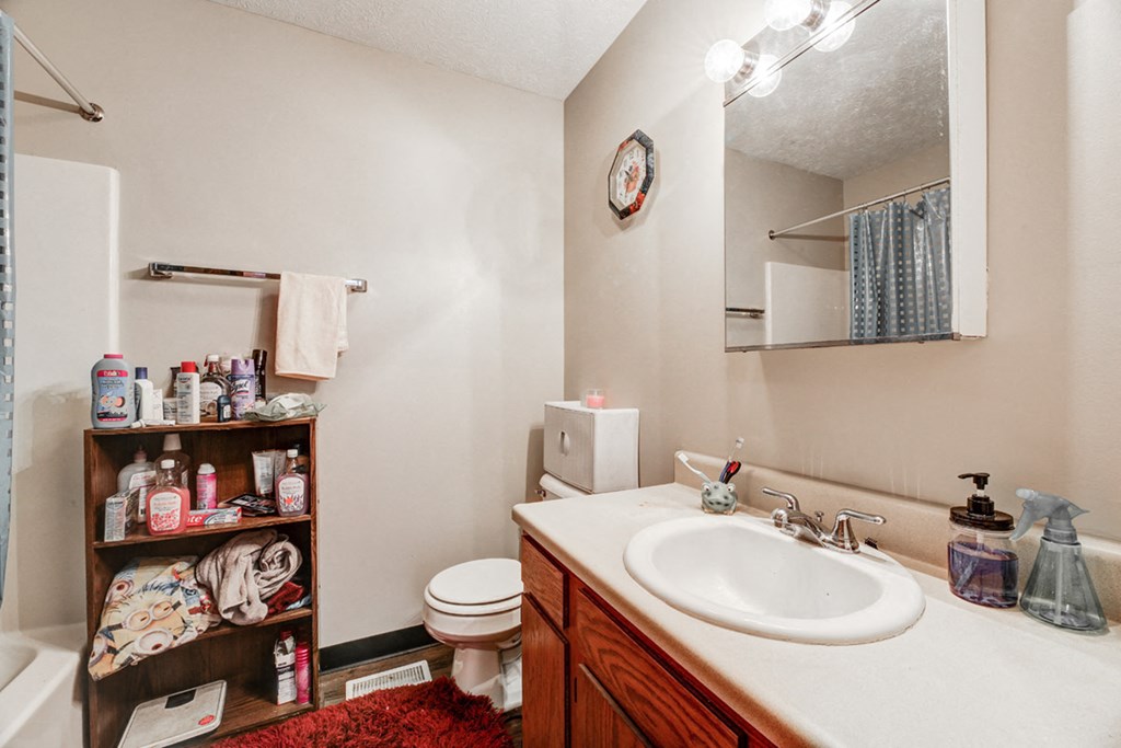a bathroom with a sink and a toilet and a mirror