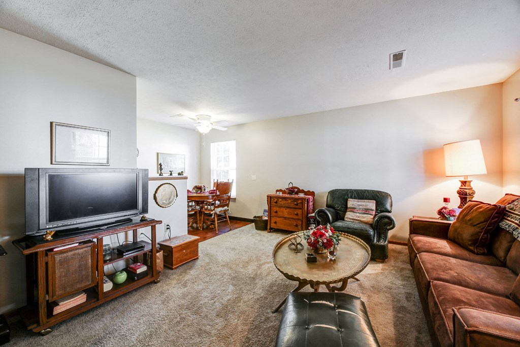 a living room with a couch and a tv