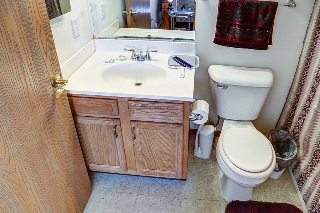 a bathroom with a toilet and a sink