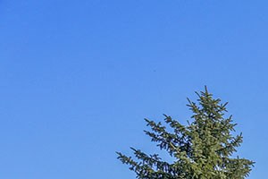 Playground Playground - Photo Gallery 3