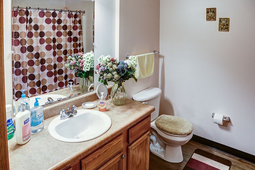 a bathroom with a sink and a toilet and a mirror
