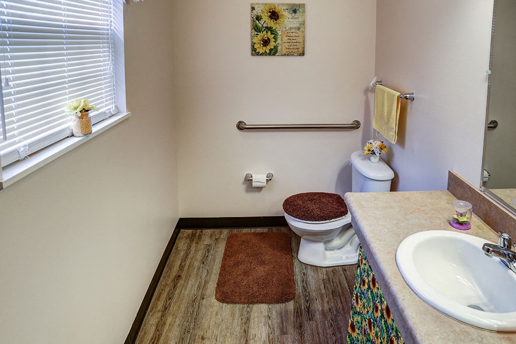 a bathroom with a toilet and a sink