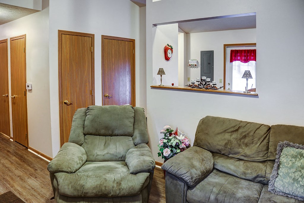 a living room with two couches and a mirror