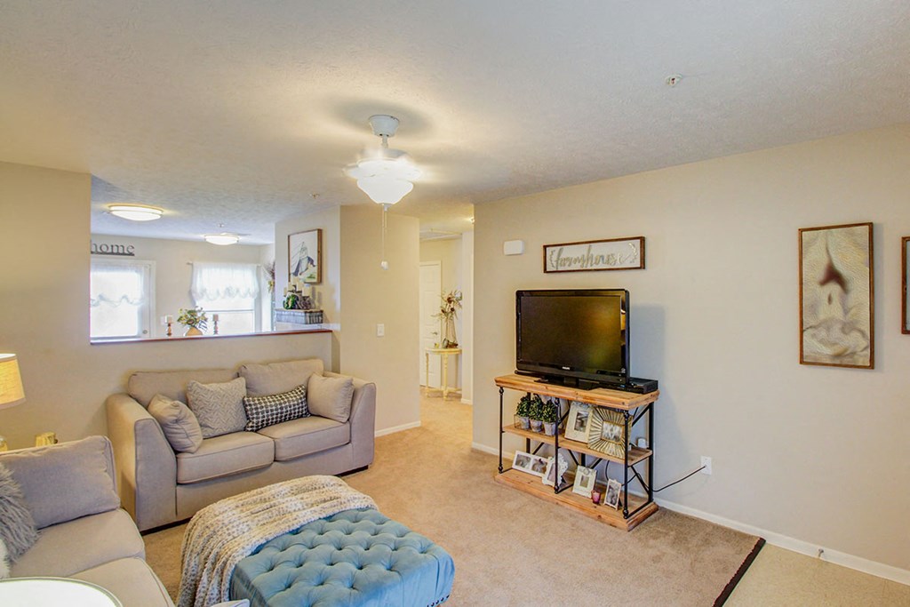 a living room with a couch and a television