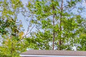 Pinecrest Greene Apartments 1750 Raoul Wallenburg Blvd