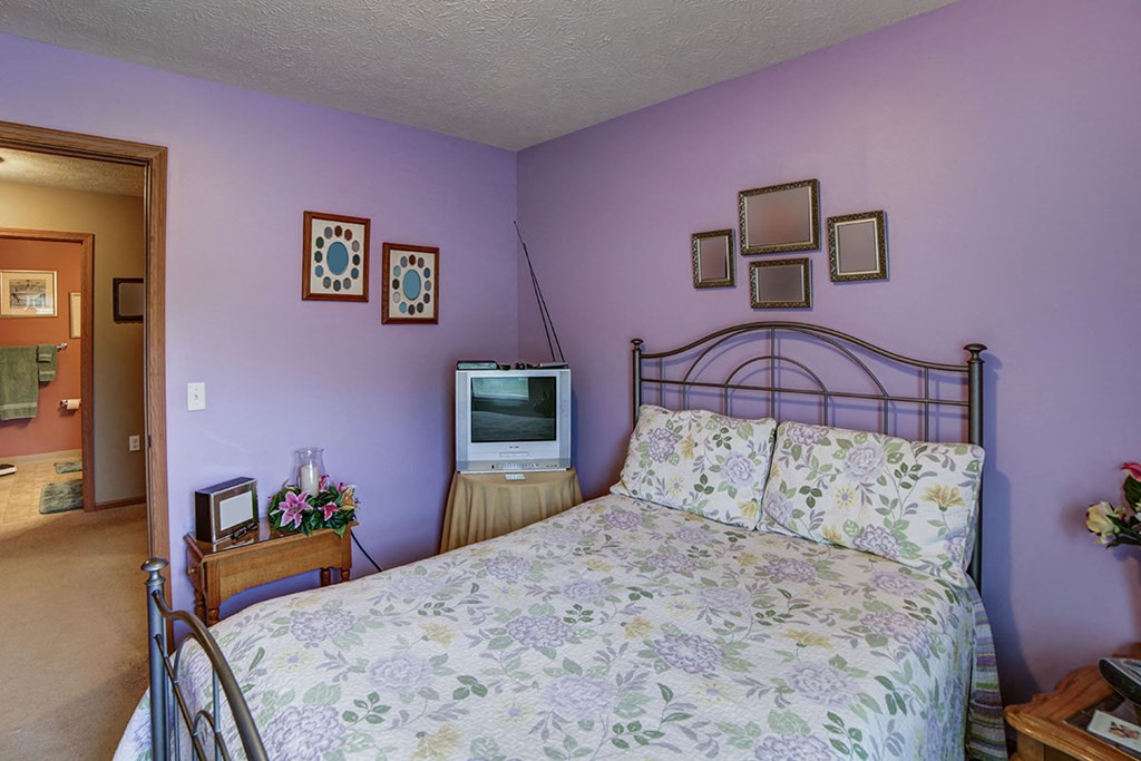 a bedroom with a bed and a tv in it