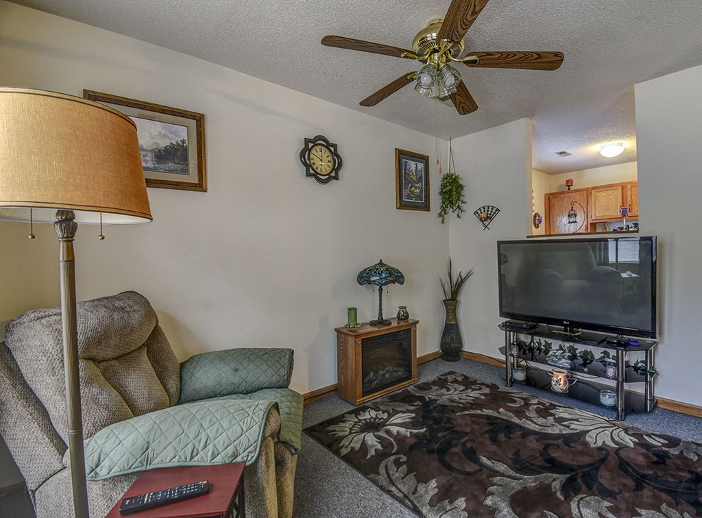 a living room with a couch and a tv