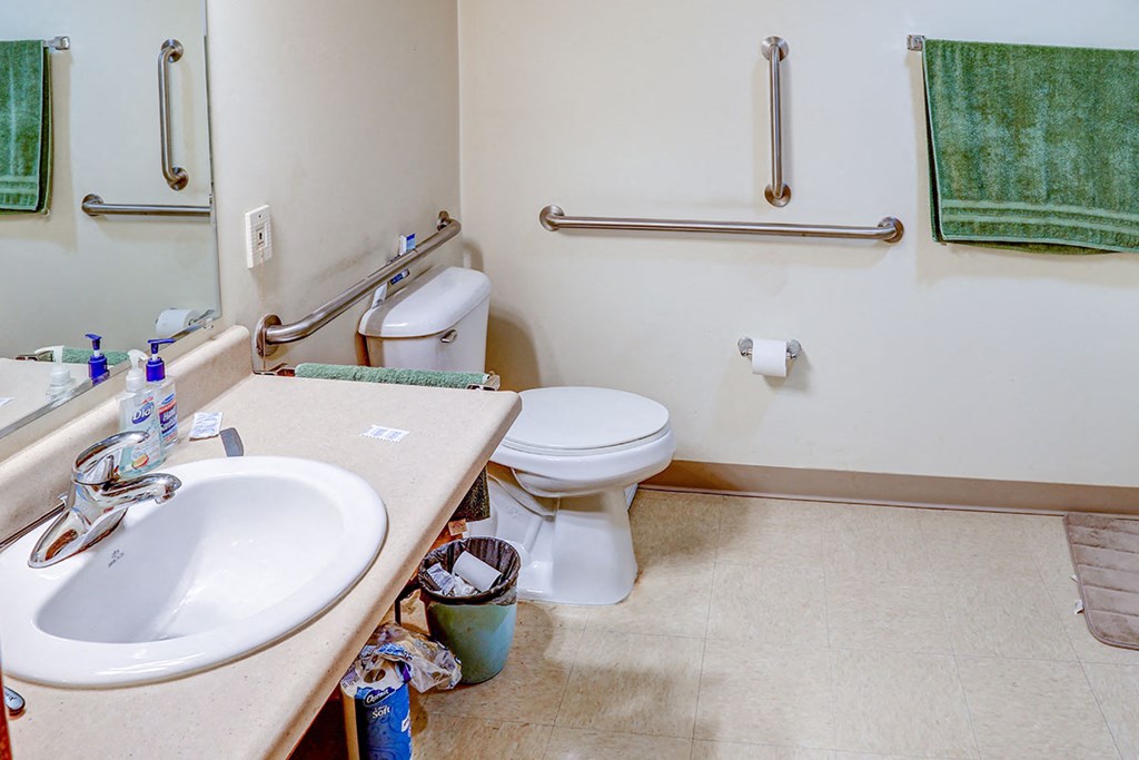 a bathroom with a toilet and a sink