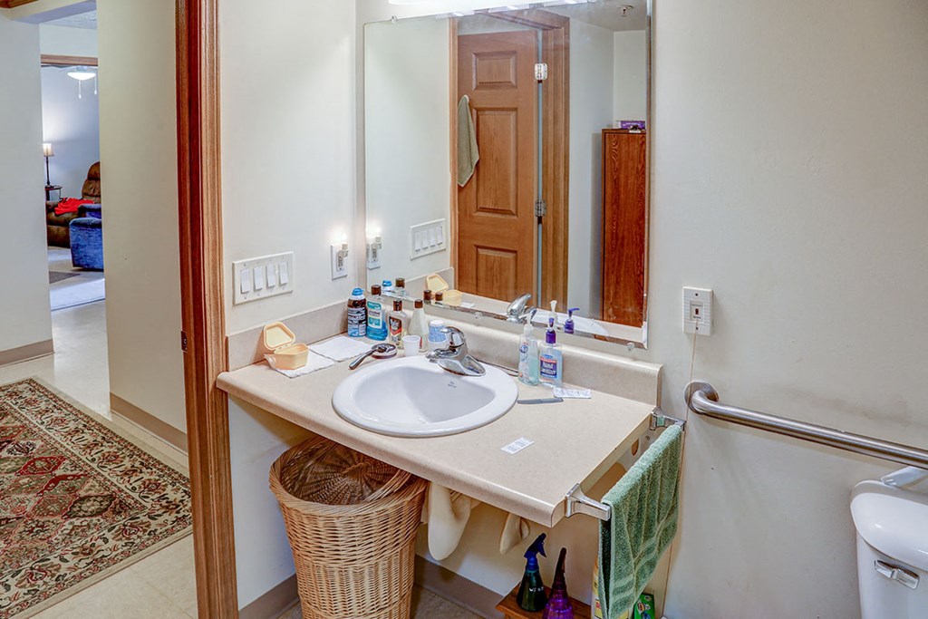 a bathroom with a sink and a mirror