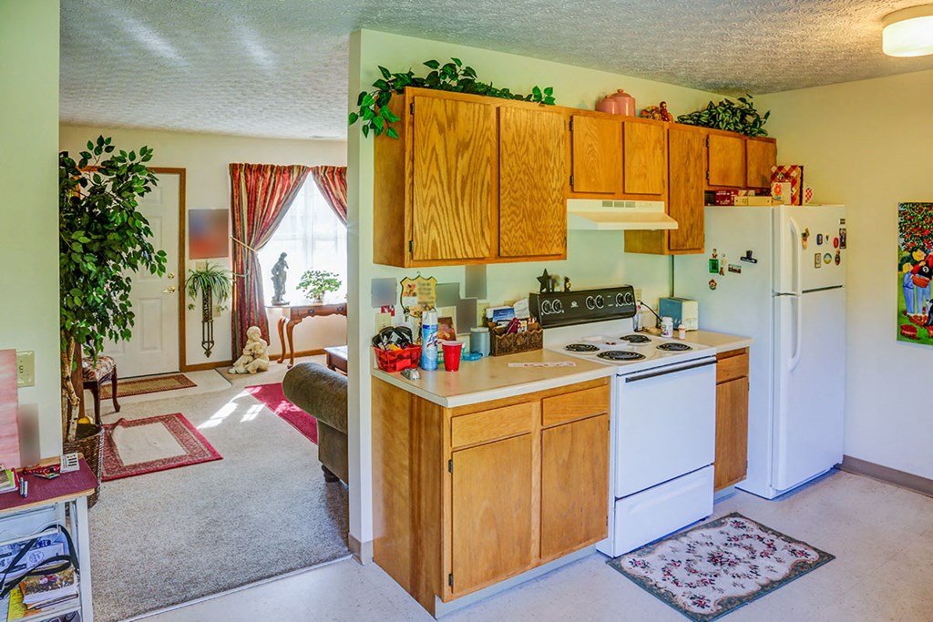 a kitchen with a stove refrigerator and a sink
