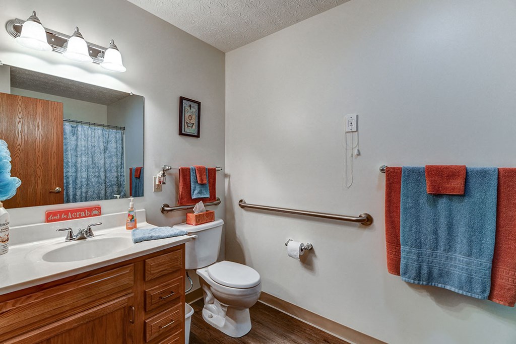 a bathroom with a toilet and a sink and a mirror