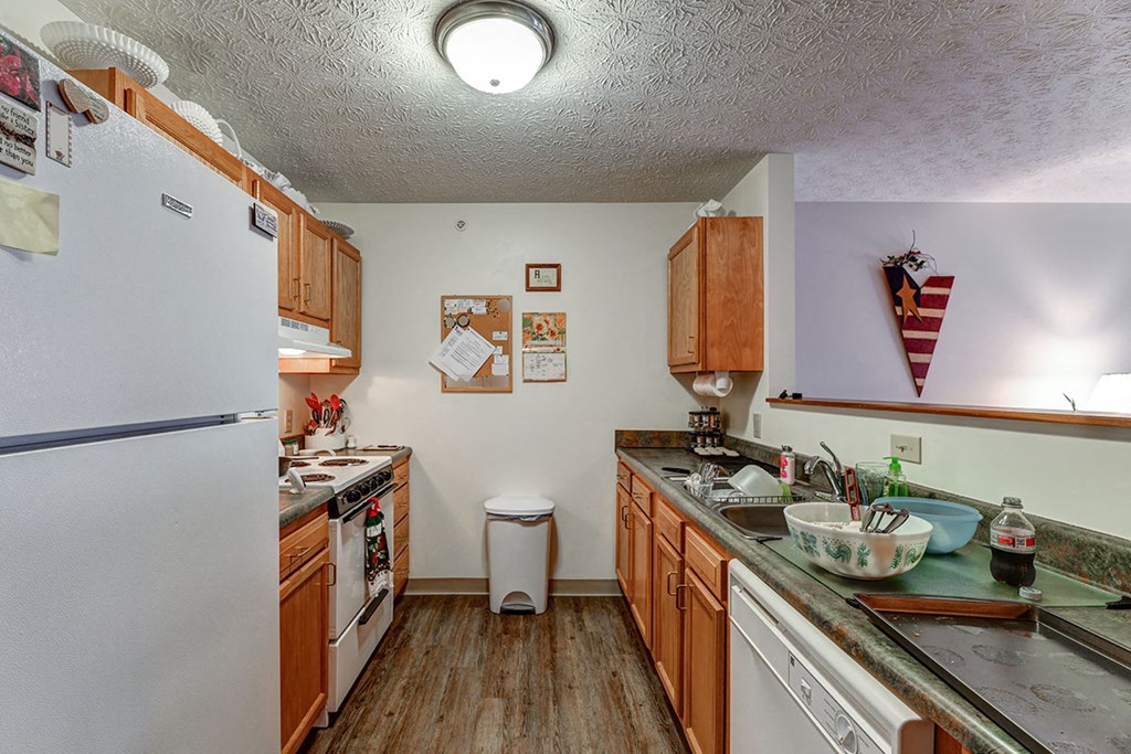 a kitchen with a stove refrigerator and a sink