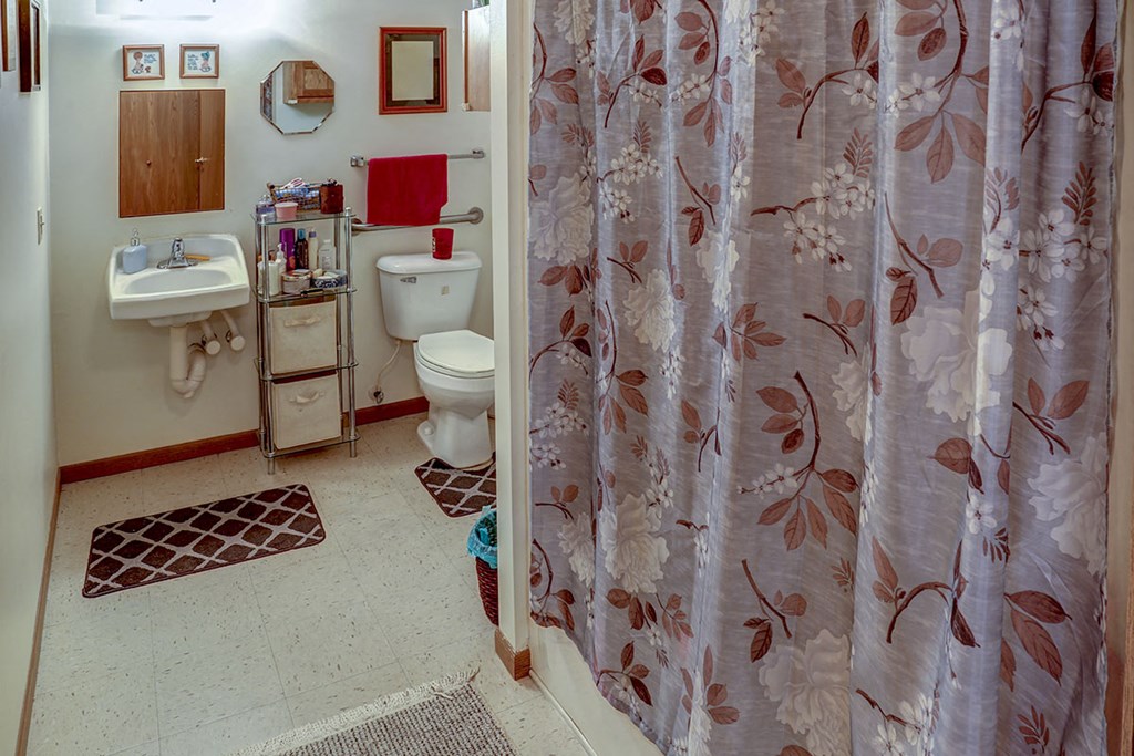 a bathroom with a shower curtain and a toilet and a sink