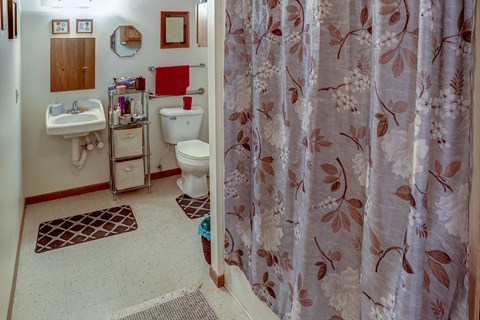 a bathroom with a shower curtain and a toilet and a sink
