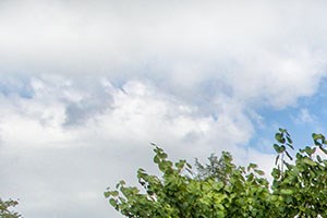 100 Best Apartments In Fayetteville Tn With Reviews Rentcafe