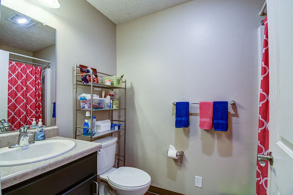 a bathroom with a shower toilet and sink