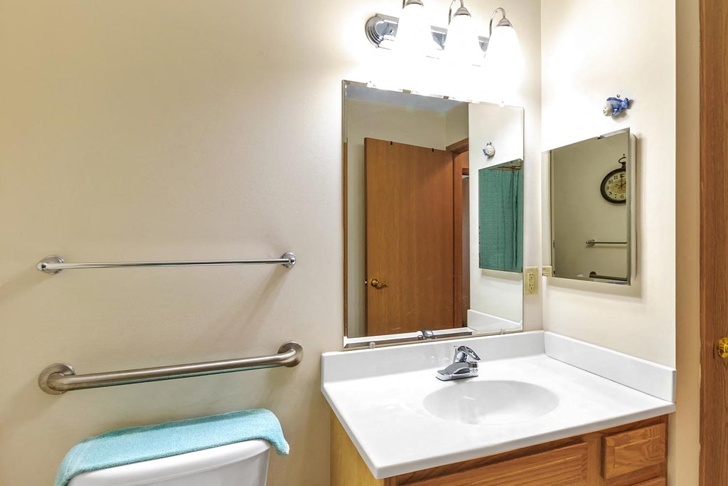 a bathroom with a sink and a mirror and a toilet