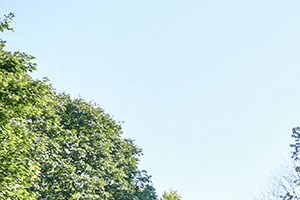 Ursula Park