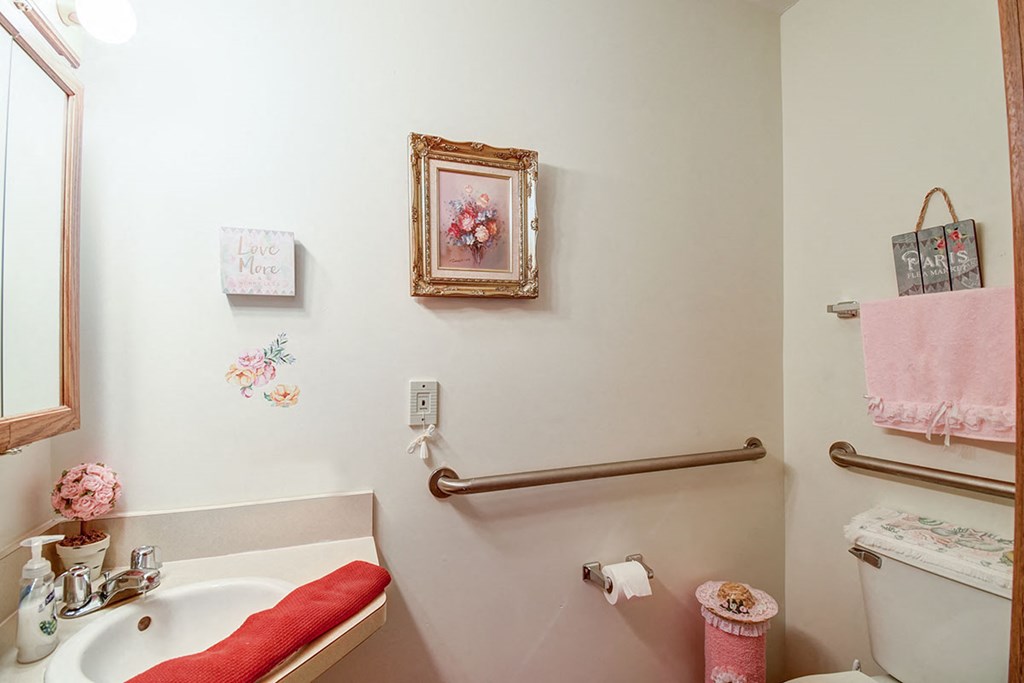 a bathroom with a sink and a toilet and a mirror