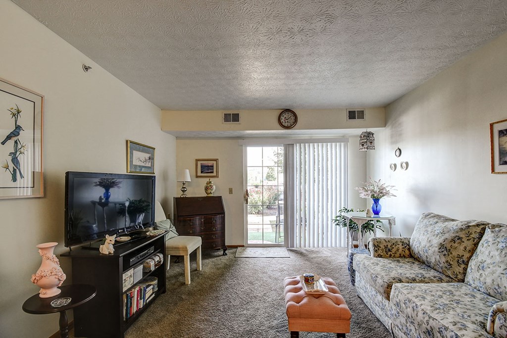 a living room with a couch and a television