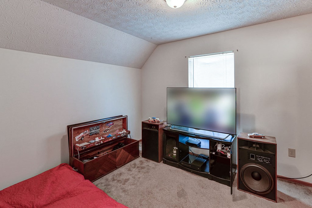 a living room with a couch and a television
