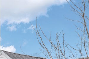 Whitman Crossing Whitman Crossing - Photo Gallery 3